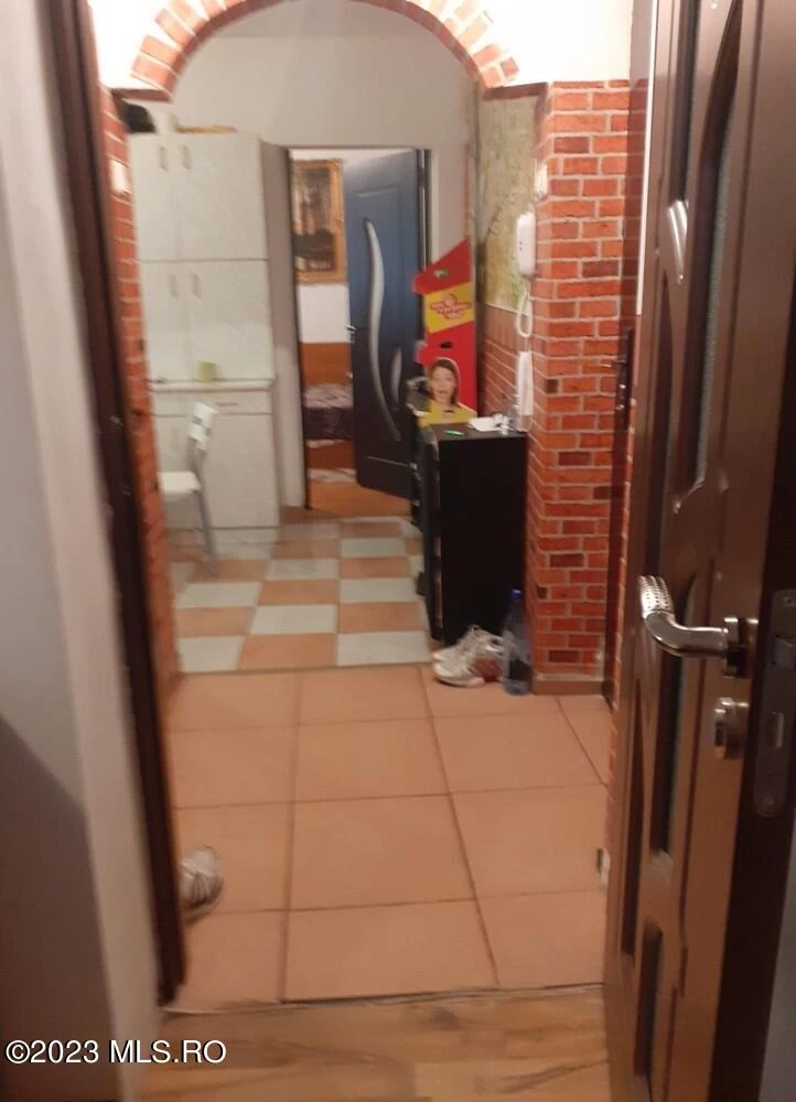 3792394080