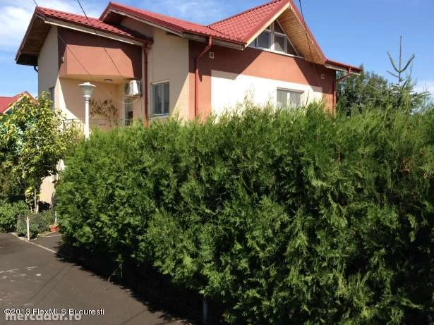 Strada INVATATOR MOGA MIHAI, Snagov, Bucuresti Ilfov, 3 Dormitoare Dormitoare, 2 BăiBăi,Casa/Vila,Anunturi Verificate,INVATATOR MOGA MIHAI,0,F1-12066