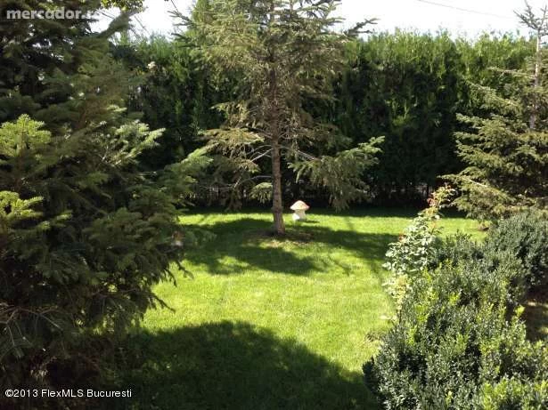Strada INVATATOR MOGA MIHAI, Snagov, Bucuresti Ilfov, 3 Dormitoare Dormitoare, 2 BăiBăi,Casa/Vila,Anunturi Verificate,INVATATOR MOGA MIHAI,0,F1-12066