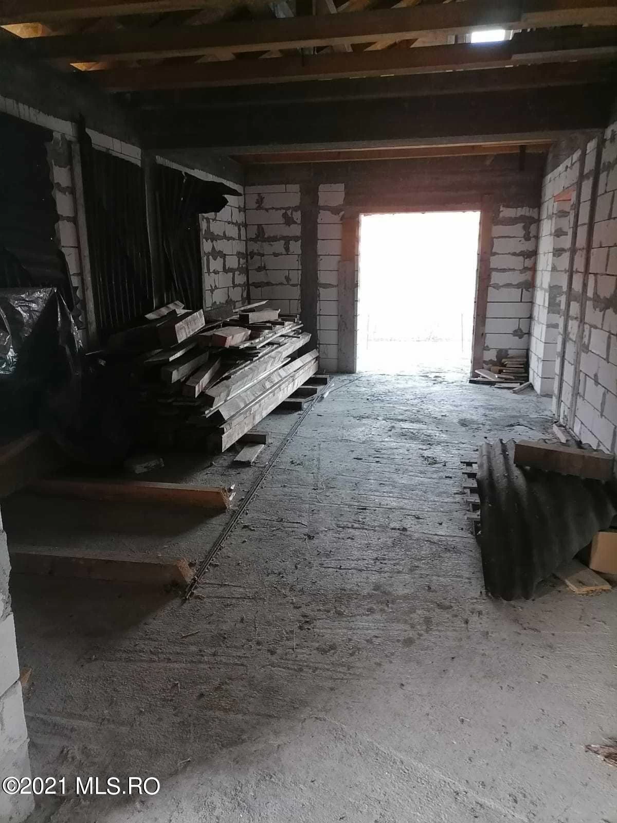 803437619
