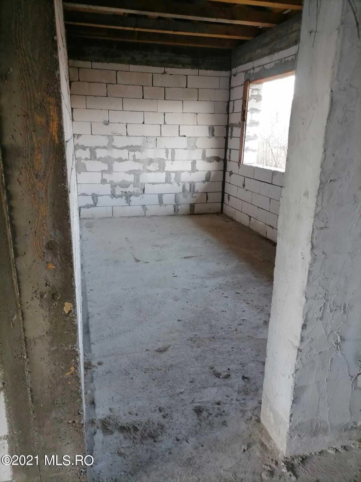 803437620