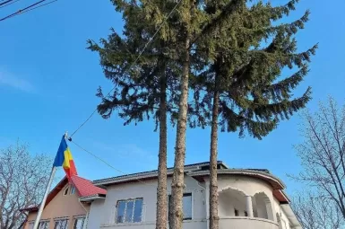 Soseaua BUCURESTI-URZICENI (DJ200A), Afumati, Bucuresti Ilfov, 7 Dormitoare Dormitoare, 7 BăiBăi,Casa/Vila,Anunturi Verificate,BUCURESTI-URZICENI (DJ200A),0,F1-190377