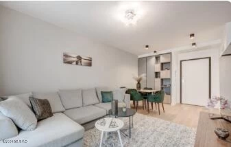 Strada AVIONULUI, Bucuresti, Bucuresti Ilfov, 1 Dormitor Dormitoare, 1 BaieBăi,Apartament,Anunturi Verificate,AVIONULUI,0,F1-221290