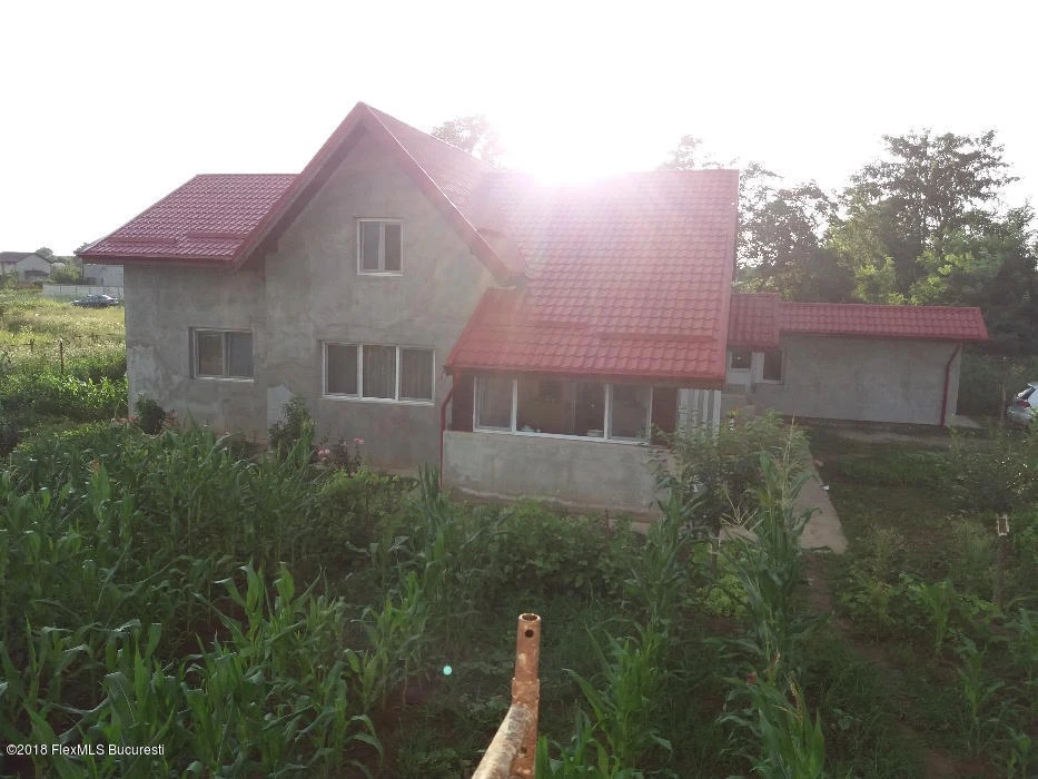 Strada PINULUI, Afumati, Bucuresti Ilfov, 2 Dormitor Dormitoare, 2 BaieBăi,Casa/Vila,Anunturi Verificate,PINULUI,0,F1-223089