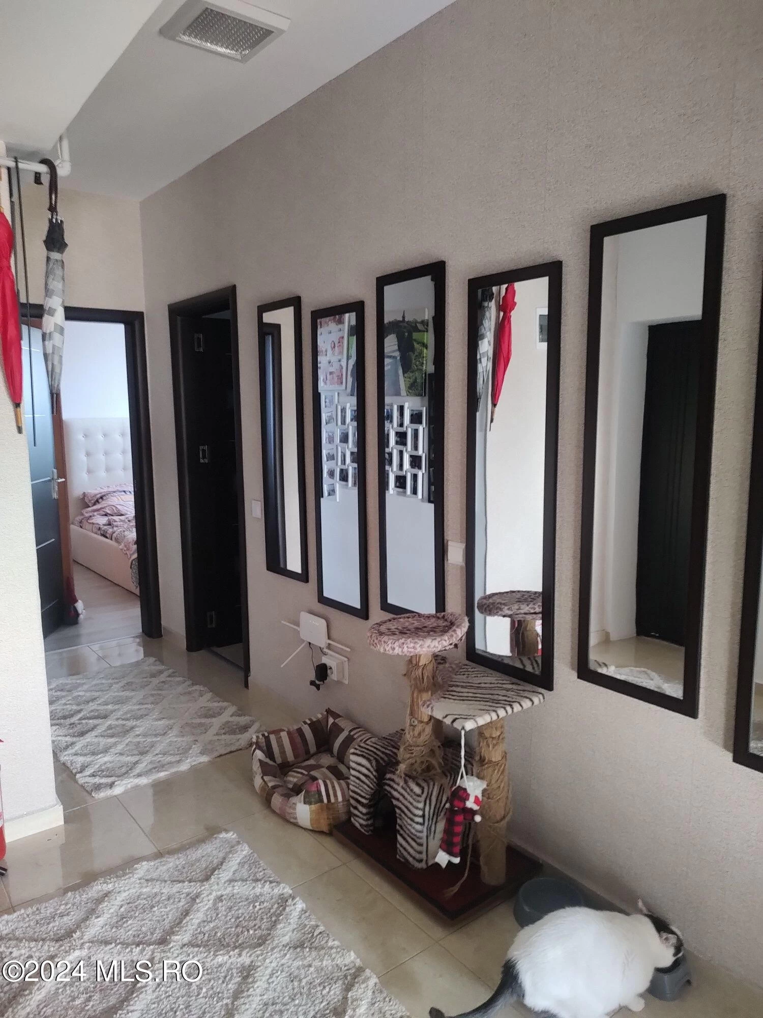 Strada DRUMUL BACRIULUI, Chiajna, Bucuresti Ilfov, 2 Dormitor Dormitoare, 2 BaieBăi,Apartament,Anunturi Verificate,DRUMUL BACRIULUI,0,F1-222467