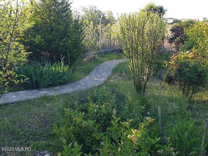 Strada NUFERILOR, Vidra, Bucuresti Ilfov, 0000, 5 Dormitoare Dormitoare, 4 BăiBăi,Casa/Vila,Anunturi Verificate,NUFERILOR,0,F1-209349