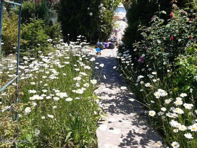 Strada NUFERILOR, Vidra, Bucuresti Ilfov, 0000, 5 Dormitoare Dormitoare, 4 BăiBăi,Casa/Vila,Anunturi Verificate,NUFERILOR,0,F1-209349