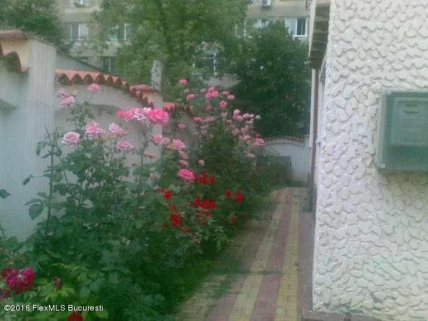 Strada TREI SCAUNE, Bucuresti, Bucuresti Ilfov, 10 Dormitoare Dormitoare, 5 BăiBăi,Casa/Vila,Anunturi Verificate,TREI SCAUNE,0,F1-227051