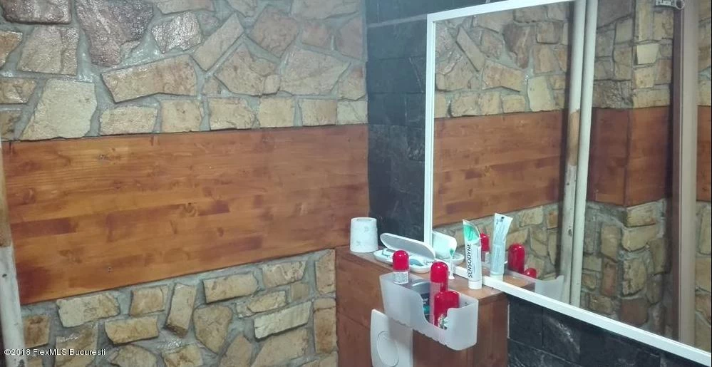 Strada MOLDOVITA, Bucuresti, Bucuresti Ilfov, 1 Dormitor Dormitoare, 1 BaieBăi,Apartament,Anunturi Verificate,MOLDOVITA,0,F1-120360