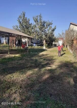 Strada GANEASA, Afumati, Bucuresti Ilfov, 4 Dormitor Dormitoare, 1 BaieBăi,Casa/Vila,Anunturi Verificate,GANEASA,0,F1-229365