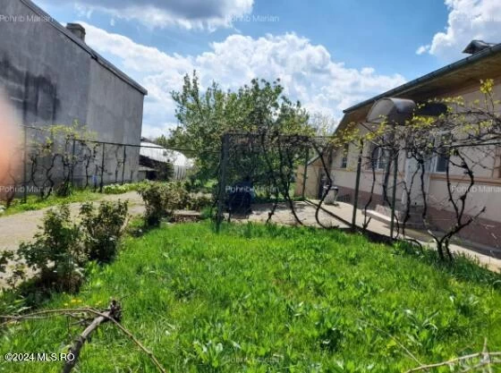Strada GANEASA, Afumati, Bucuresti Ilfov, 4 Dormitor Dormitoare, 1 BaieBăi,Casa/Vila,Anunturi Verificate,GANEASA,0,F1-229365