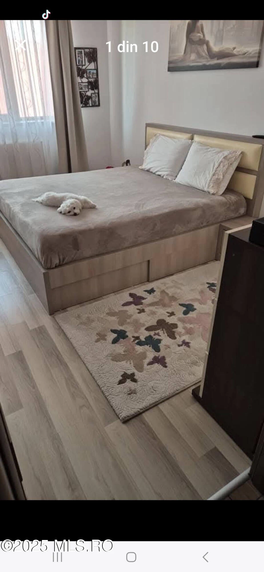 Soseaua OLTENITEI, Popesti Leordeni, Bucuresti Ilfov, 2 Dormitoare Dormitoare, 2 BăiBăi,Apartament,Anunturi Verificate,OLTENITEI,0,F1-233134