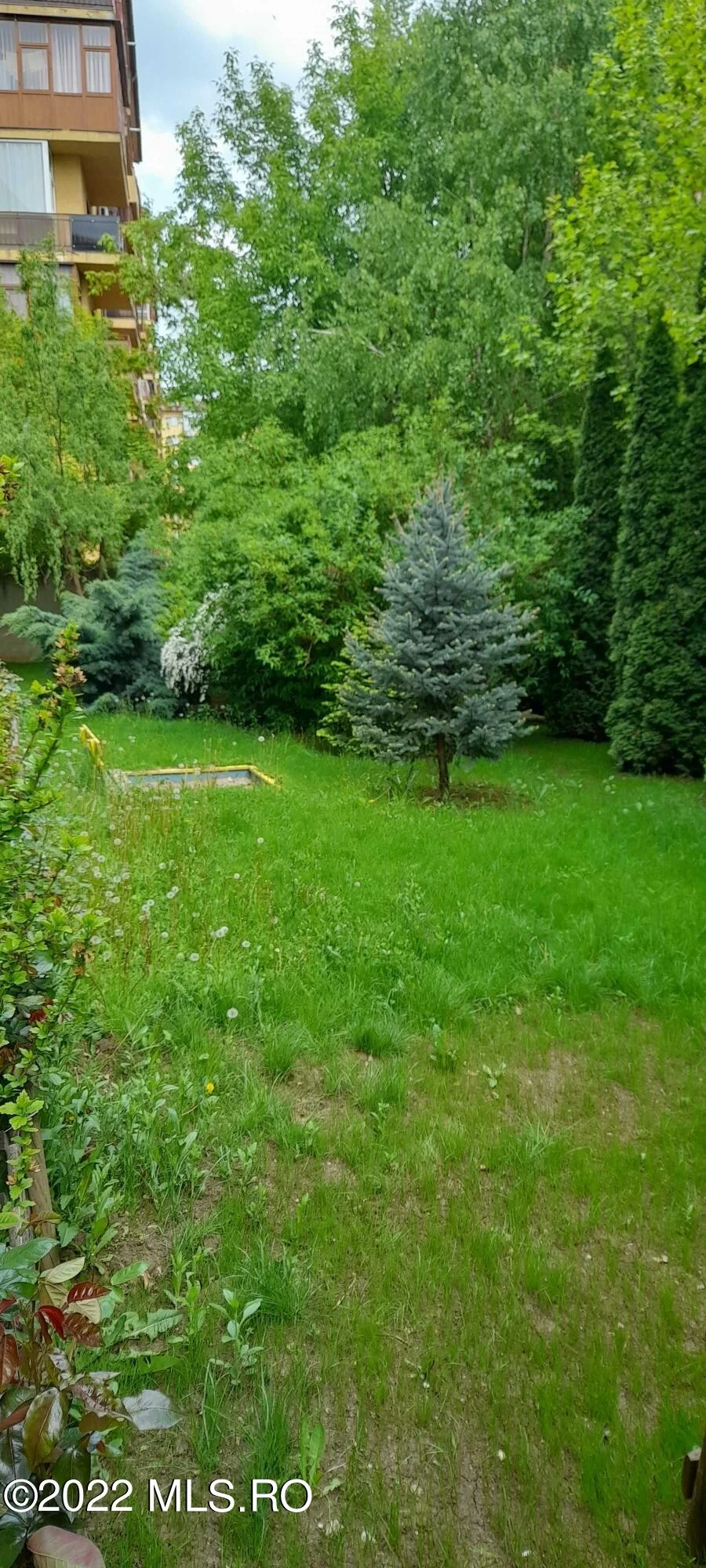 Strada TINERETULUI, Chiajna, Bucuresti Ilfov, 0 , 1 BaieBăi,Apartament,Anunturi Verificate,TINERETULUI,0,F1-227101