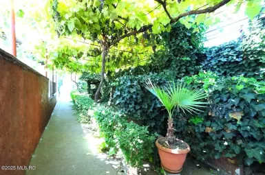 Curte fata - cu bolta si vegetatie