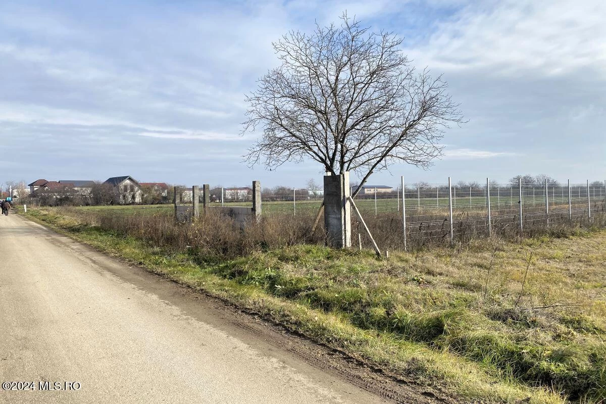 Strada IASOMIEI 31R, Afumati, Bucuresti Ilfov, 902379, 0 , 0,Teren,Reprezentari Comision 0%,IASOMIEI,0,01-6304