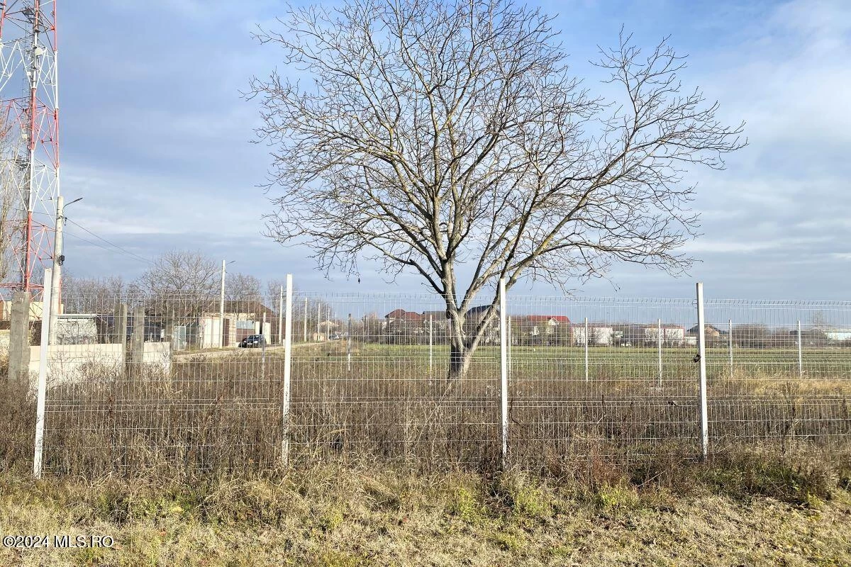 Strada IASOMIEI 31R, Afumati, Bucuresti Ilfov, 902379, 0 , 0,Teren,Reprezentari Comision 0%,IASOMIEI,0,01-6304