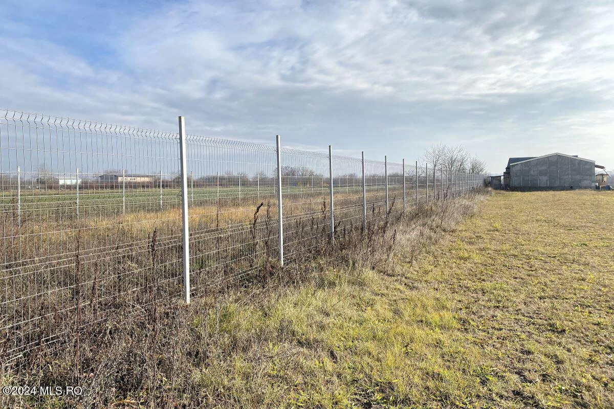 Strada IASOMIEI 31R, Afumati, Bucuresti Ilfov, 902379, 0 , 0,Teren,Reprezentari Comision 0%,IASOMIEI,0,01-6304