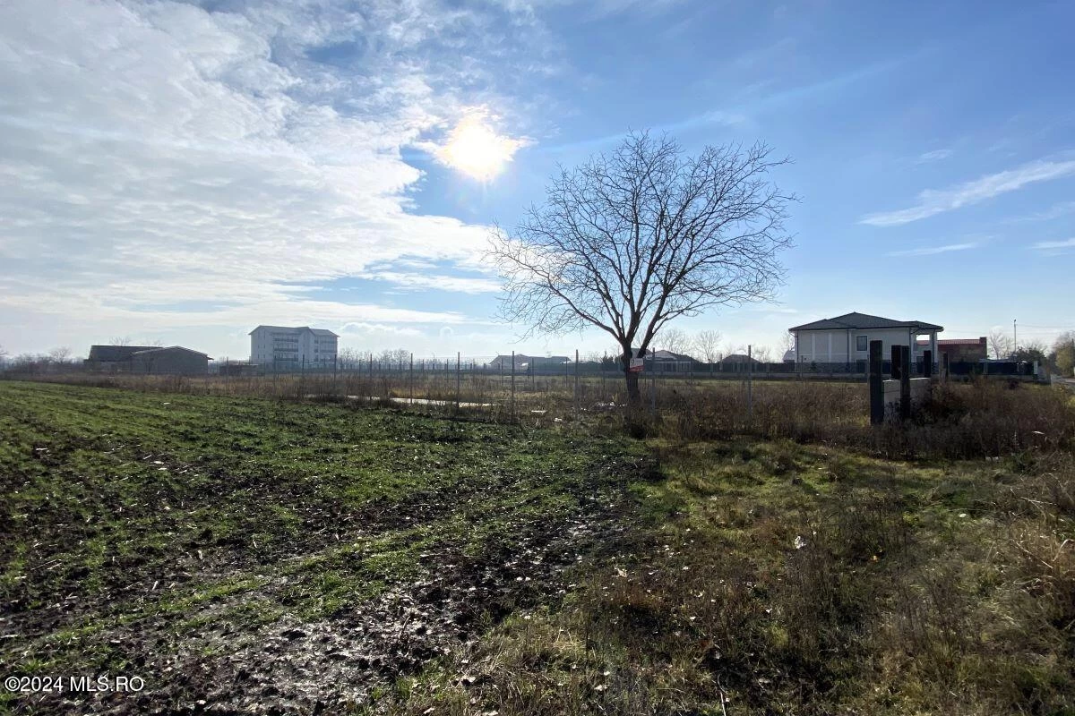 Strada IASOMIEI 31R, Afumati, Bucuresti Ilfov, 902379, 0 , 0,Teren,Reprezentari Comision 0%,IASOMIEI,0,01-6304