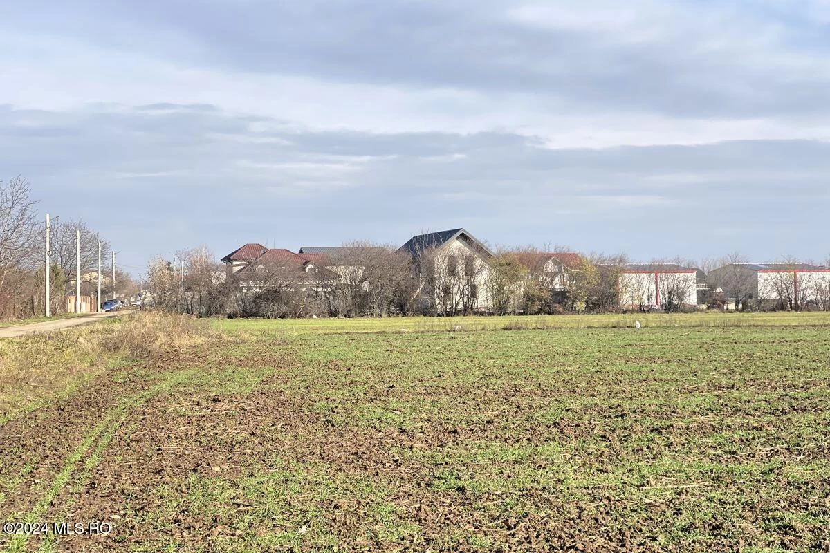 Strada IASOMIEI 31R, Afumati, Bucuresti Ilfov, 902379, 0 , 0,Teren,Reprezentari Comision 0%,IASOMIEI,0,01-6304