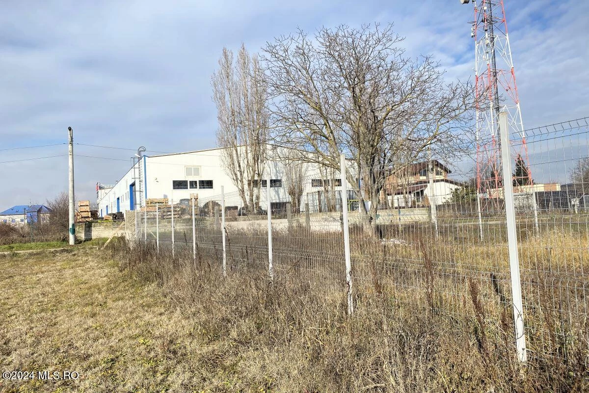 Strada IASOMIEI 31R, Afumati, Bucuresti Ilfov, 902379, 0 , 0,Teren,Reprezentari Comision 0%,IASOMIEI,0,01-6304