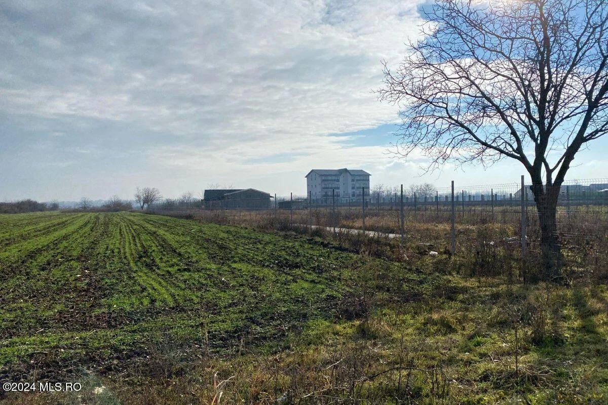 Strada IASOMIEI 31R, Afumati, Bucuresti Ilfov, 902379, 0 , 0,Teren,Reprezentari Comision 0%,IASOMIEI,0,01-6304