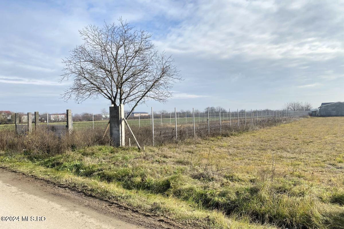 Strada IASOMIEI 31R, Afumati, Bucuresti Ilfov, 902379, 0 , 0,Teren,Reprezentari Comision 0%,IASOMIEI,0,01-6304