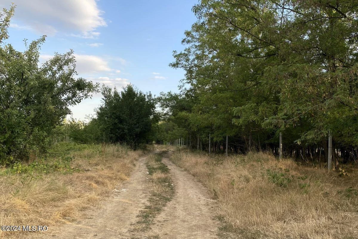 Strada Monaco 20, Corbeanca, Bucuresti Ilfov, 077068, 0 , 0,Teren,Reprezentari Comision 0%,Monaco,0,01-6105