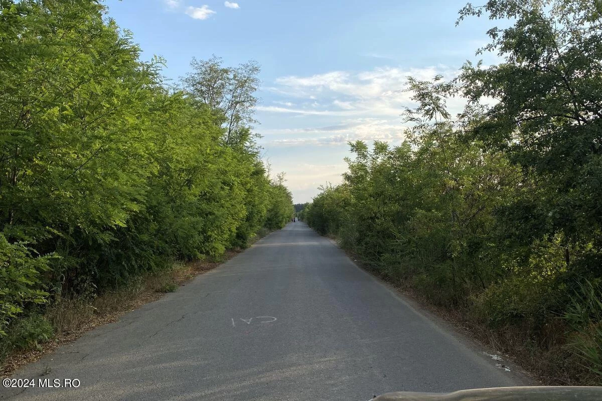 Strada Monaco 20, Corbeanca, Bucuresti Ilfov, 077068, 0 , 0,Teren,Reprezentari Comision 0%,Monaco,0,01-6105