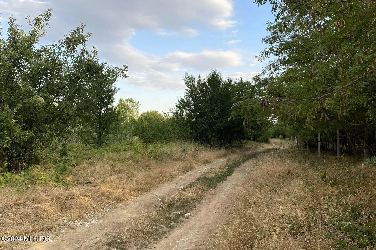 Strada Monaco 20, Corbeanca, Bucuresti Ilfov, 077068, 0 , 0,Teren,Reprezentari Comision 0%,Monaco,0,01-6105