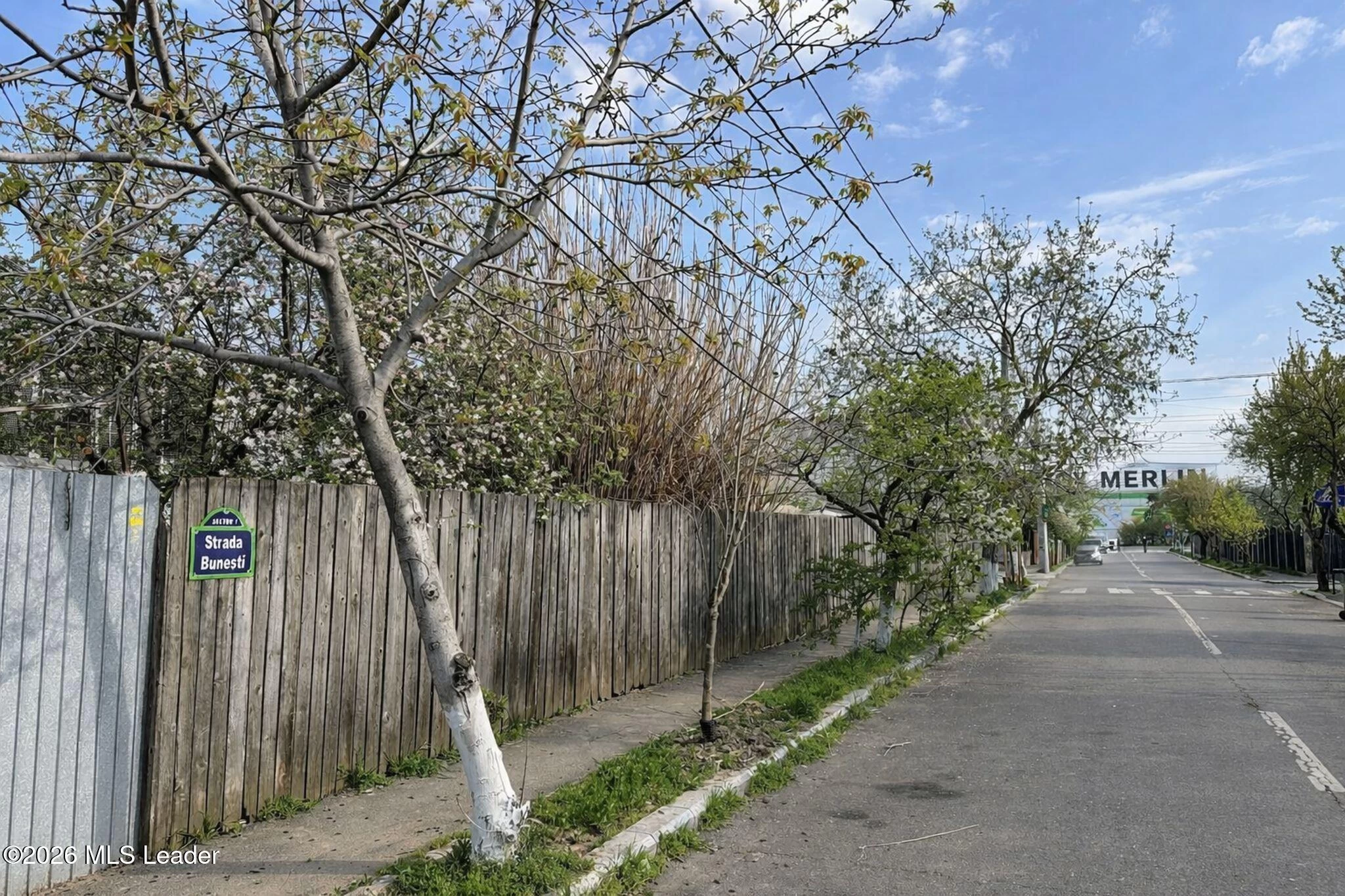 Strada BUNESTI 4A, Bucuresti, Bucuresti Ilfov, 012726, 0 , 0,Teren,Reprezentari Comision 0%,BUNESTI,0,01-6846