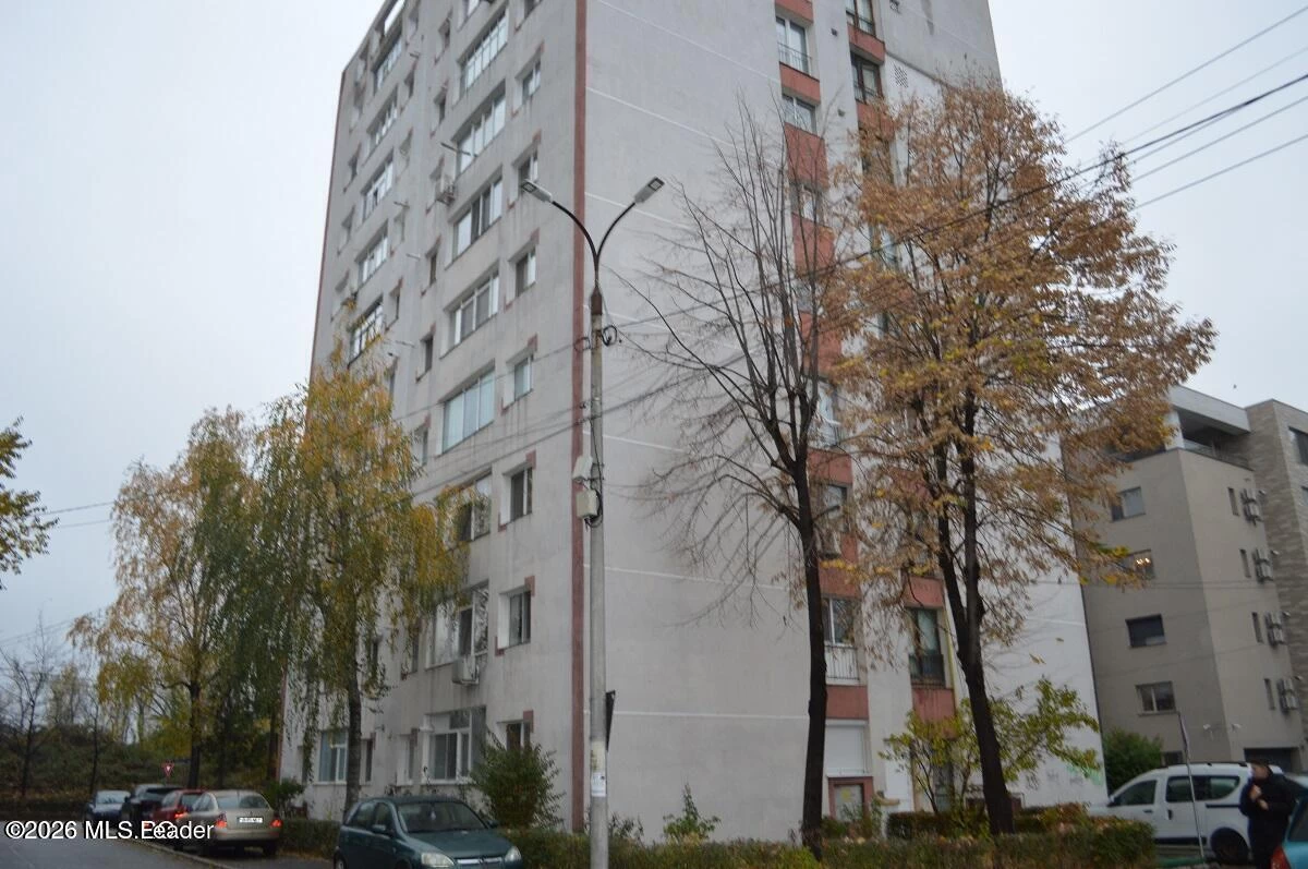 Calea BASCOV 3 Bl. B1, Sc. A, Ap.41, Pitesti, Arges, 110124, 1 Dormitor Dormitoare, 1 BaieBăi,Apartament,Reprezentari Comision 0%,BASCOV,0,01-6892