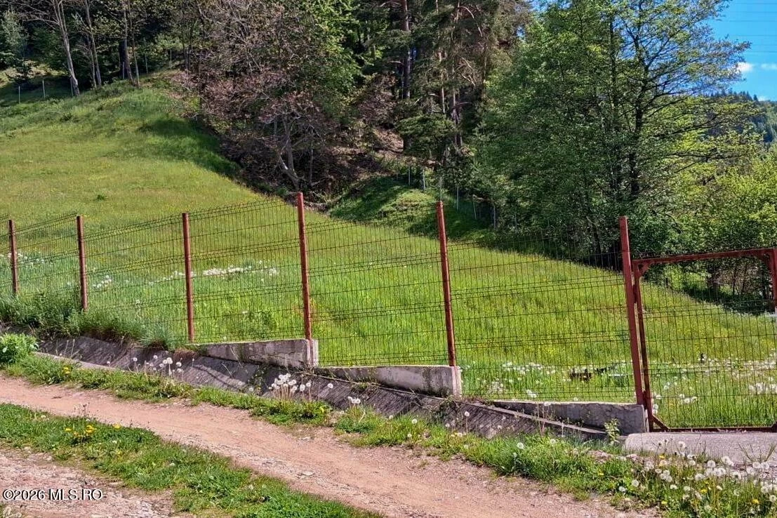 Strada VALEA LUI PATRU 989, Leresti, Arges, 117430, 0 , 0,Teren,Reprezentari Comision 0%,VALEA LUI PATRU,0,04-501