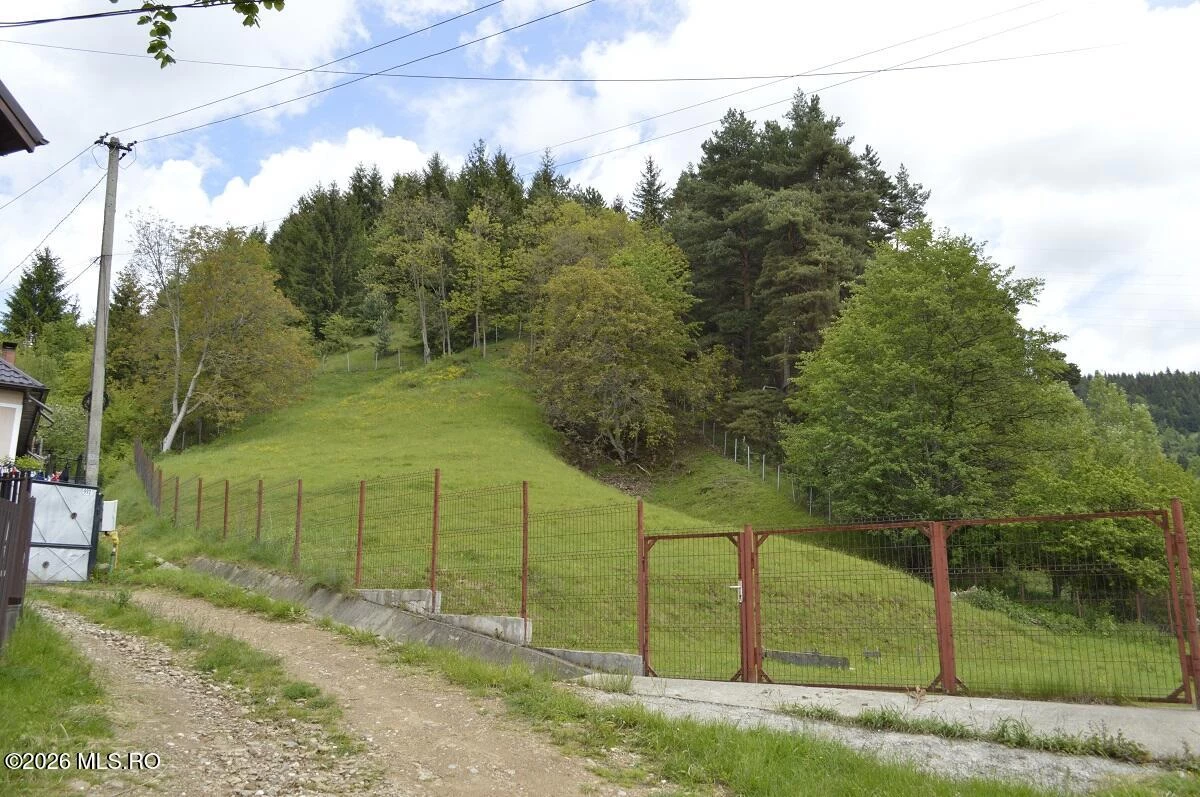 Strada VALEA LUI PATRU 989, Leresti, Arges, 117430, 0 , 0,Teren,Reprezentari Comision 0%,VALEA LUI PATRU,0,04-501