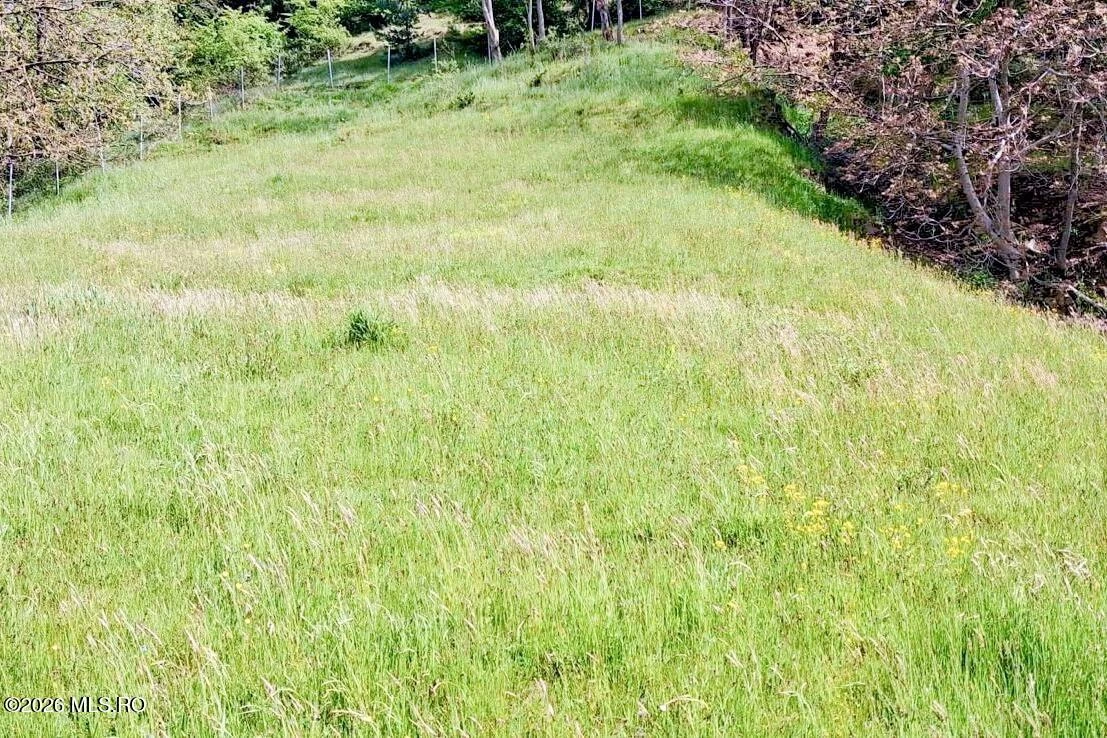 Strada VALEA LUI PATRU 989, Leresti, Arges, 117430, 0 , 0,Teren,Reprezentari Comision 0%,VALEA LUI PATRU,0,04-501