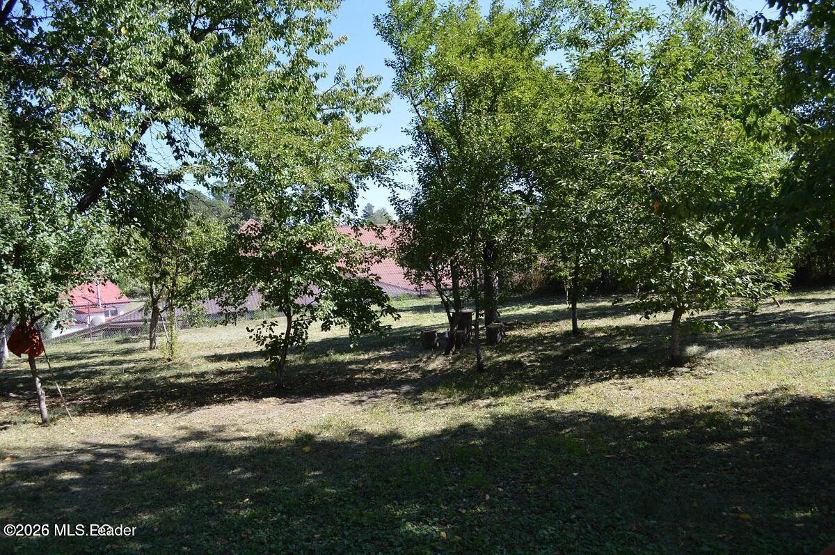 Strada NEGRU VODA 41, Curtea de Arges, Arges, 115300, 4 Dormitoare Dormitoare, 2 BăiBăi,Casa/Vila,Reprezentari Comision 0%,NEGRU VODA,0,01-6907
