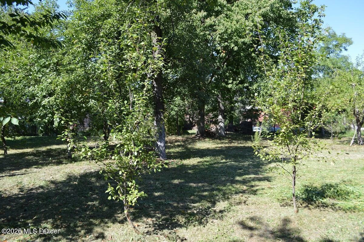Strada NEGRU VODA 41, Curtea de Arges, Arges, 115300, 4 Dormitoare Dormitoare, 2 BăiBăi,Casa/Vila,Reprezentari Comision 0%,NEGRU VODA,0,01-6907