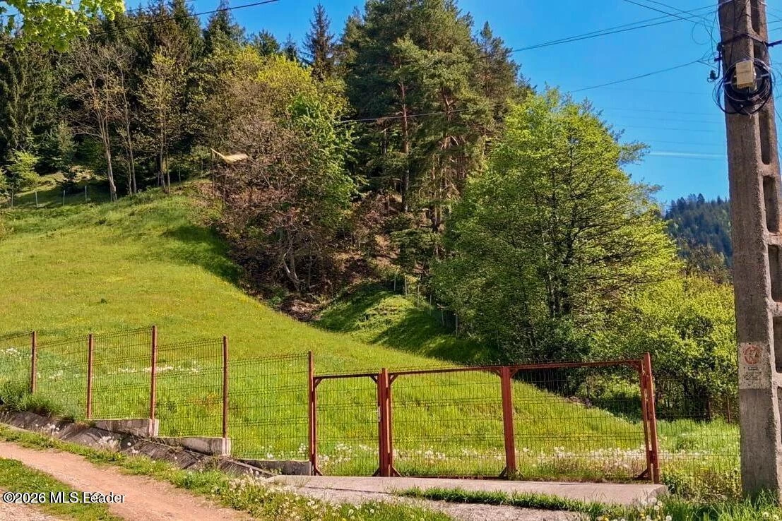 Strada VALEA LUI PATRU 989, Leresti, Arges, 117430, 0 , 0,Teren,Reprezentari Comision 0%,VALEA LUI PATRU,0,01-6908