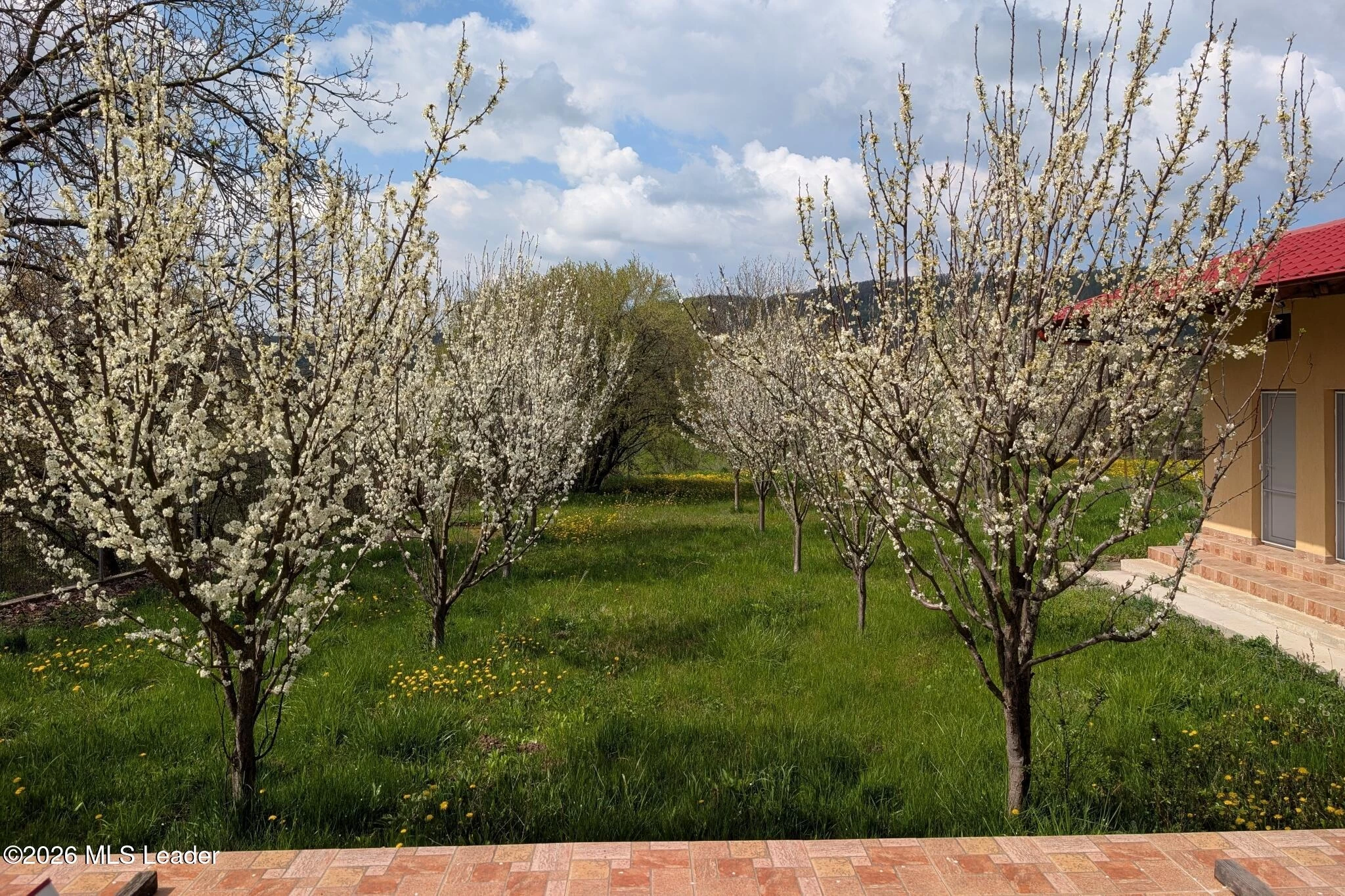 Strada POVERNII 236B, Balilesti, Arges, 117080, 5 Dormitoare Dormitoare, 4 BăiBăi,Casa/Vila,Reprezentari Comision 0%,POVERNII,0,01-6923