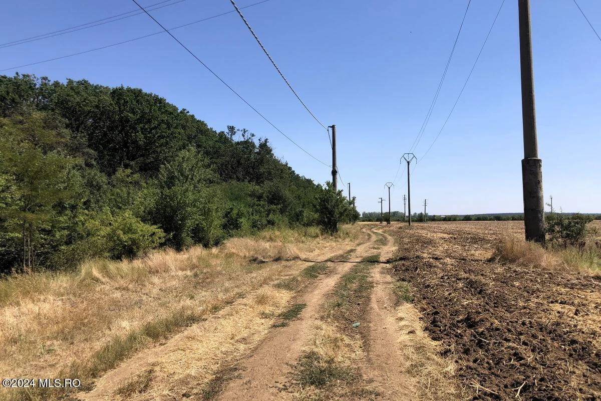Strada MOARA VLASIEI T 121, Moara Vlasiei, Bucuresti Ilfov, 077130, 0 , 0,Teren,Reprezentari Comision 0%,MOARA VLASIEI,0,01-6272