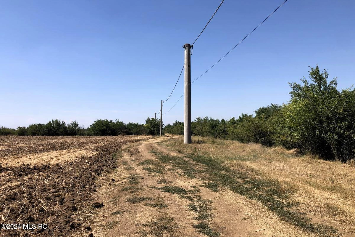Strada MOARA VLASIEI T 121, Moara Vlasiei, Bucuresti Ilfov, 077130, 0 , 0,Teren,Reprezentari Comision 0%,MOARA VLASIEI,0,01-6272