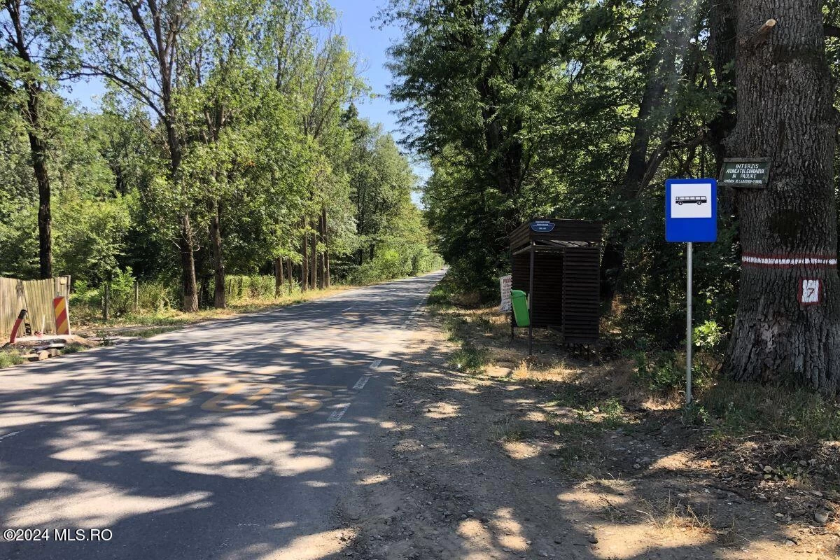 Strada MOARA VLASIEI T 121, Moara Vlasiei, Bucuresti Ilfov, 077130, 0 , 0,Teren,Reprezentari Comision 0%,MOARA VLASIEI,0,01-6272
