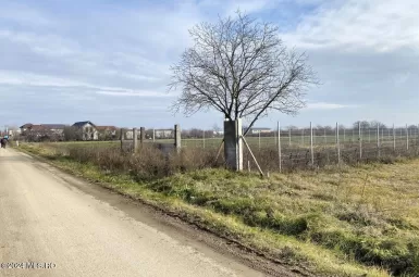 Strada IASOMIEI 31R, Afumati, Bucuresti Ilfov, 902379, 0 , 0,Teren,Reprezentari Comision 0%,IASOMIEI,0,01-6304