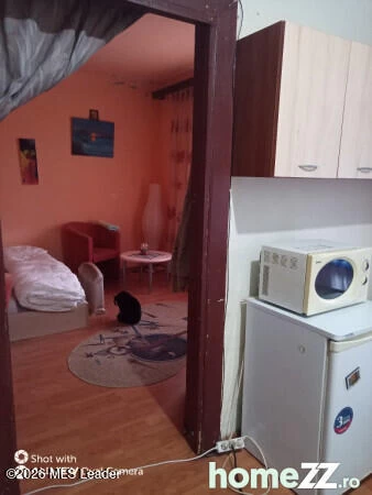 Strada GENERAL ION DRAGALINA, Bucuresti, Bucuresti Ilfov, 1 Dormitor Dormitoare, 1 BaieBăi,Apartament,Anunturi Verificate,GENERAL ION DRAGALINA,0,F1-256281