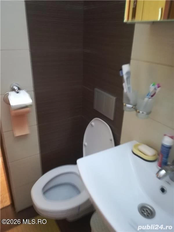 Strada TEATRULUI, Timisoara, Timis, 1 Dormitor Dormitoare, 1 BaieBăi,Apartament,Anunturi Verificate,TEATRULUI,0,F3-46658
