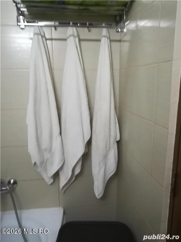 Strada TEATRULUI, Timisoara, Timis, 1 Dormitor Dormitoare, 1 BaieBăi,Apartament,Anunturi Verificate,TEATRULUI,0,F3-46658