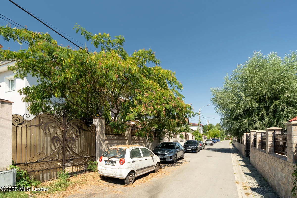 Strada LUCEAFARULUI 4A, Cernica, Bucuresti Ilfov, 077035, 7 Dormitoare Dormitoare, 8 BăiBăi,Casa/Vila,Reprezentari Comision 0%,LUCEAFARULUI,0,01-6994