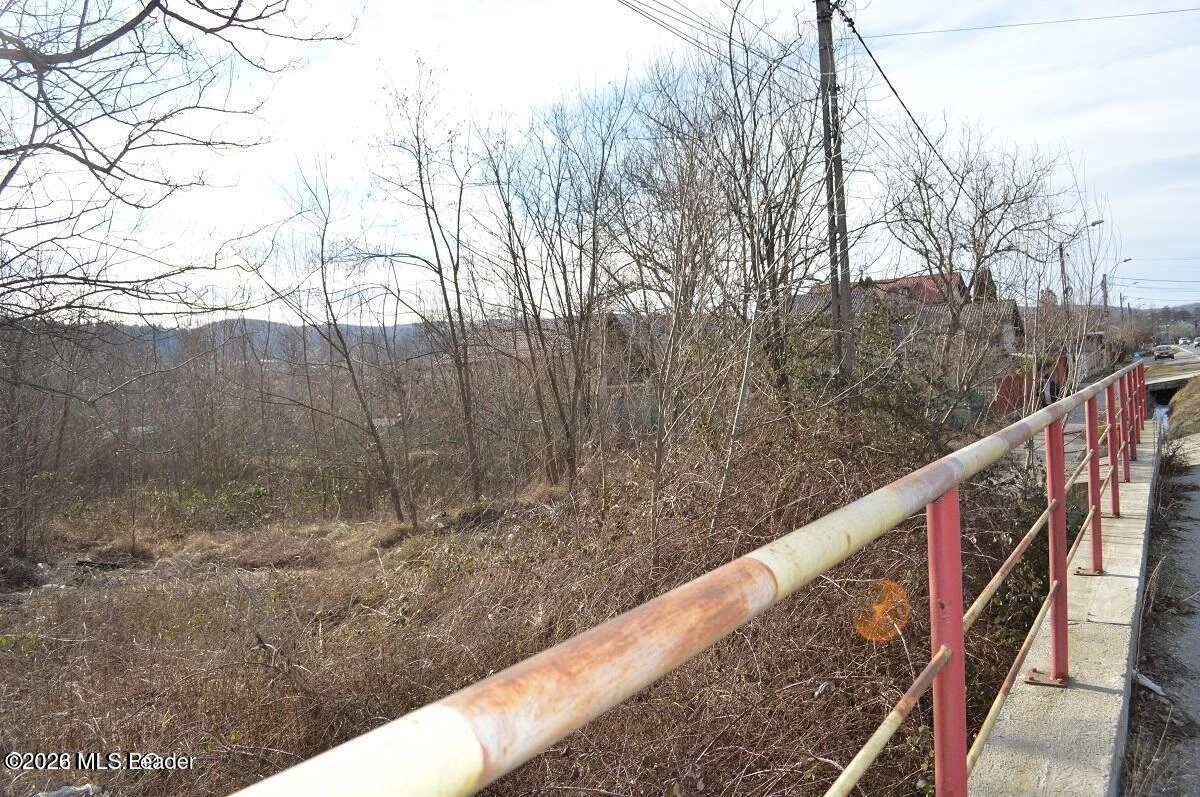 Strada PRINCIPALA 39 Valea Ursului, Bascov, Arges, 117053, 0 , 0,Teren,Reprezentari Comision 0%,PRINCIPALA,0,01-6888