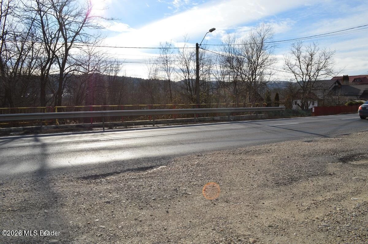 Strada PRINCIPALA 39 Valea Ursului, Bascov, Arges, 117053, 0 , 0,Teren,Reprezentari Comision 0%,PRINCIPALA,0,01-6888