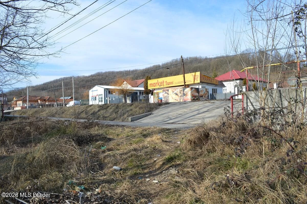 Strada PRINCIPALA 39 Valea Ursului, Bascov, Arges, 117053, 0 , 0,Teren,Reprezentari Comision 0%,PRINCIPALA,0,01-6888