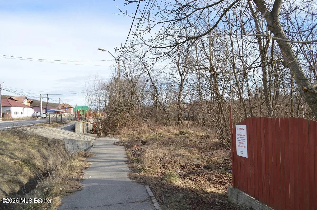 Strada PRINCIPALA 39 Valea Ursului, Bascov, Arges, 117053, 0 , 0,Teren,Reprezentari Comision 0%,PRINCIPALA,0,01-6888